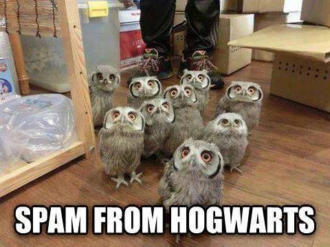 spam-from-hogwarts
